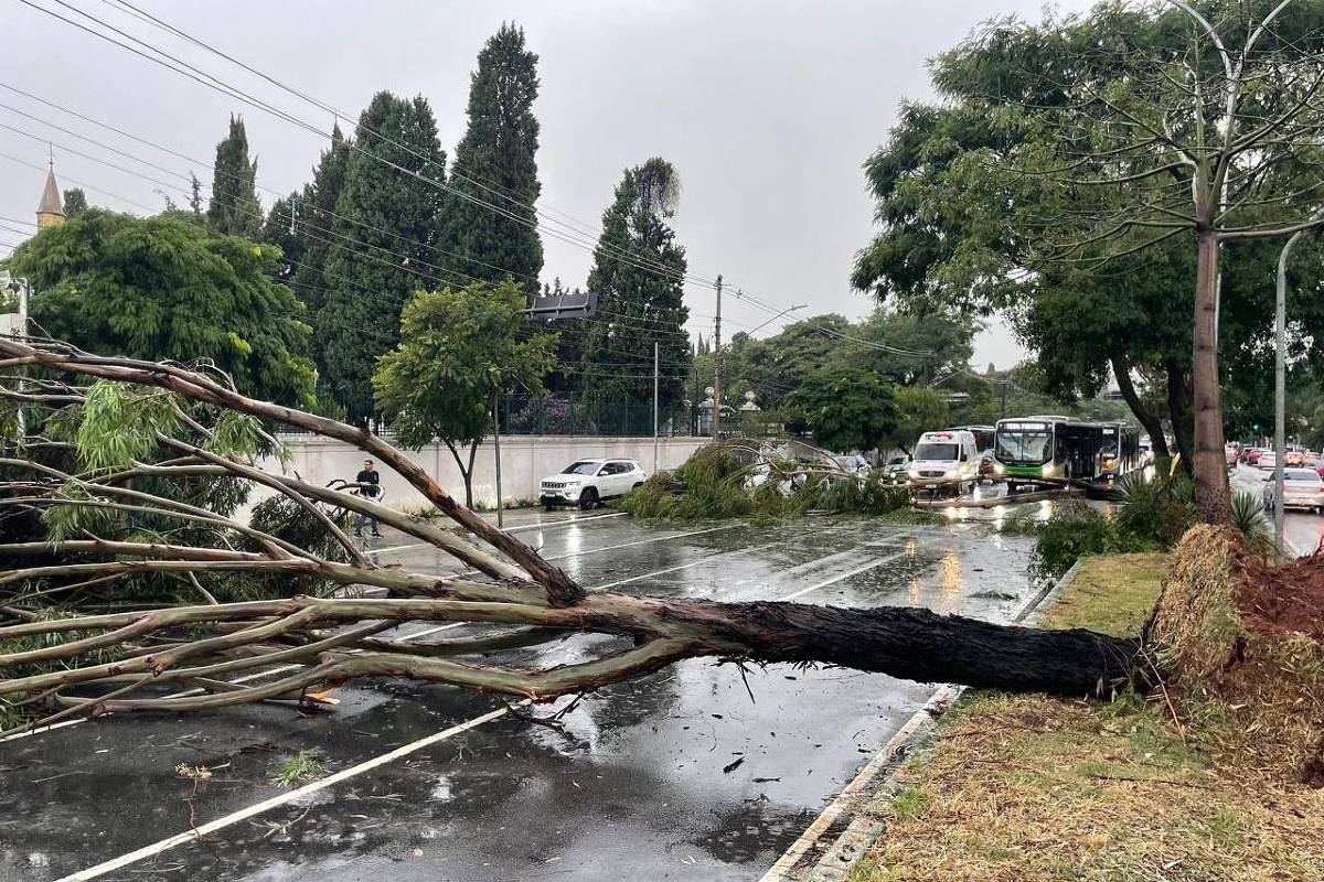 Após chuva, Nunes abandona colete e não vai a evento – 13/03/2025 – Cotidiano