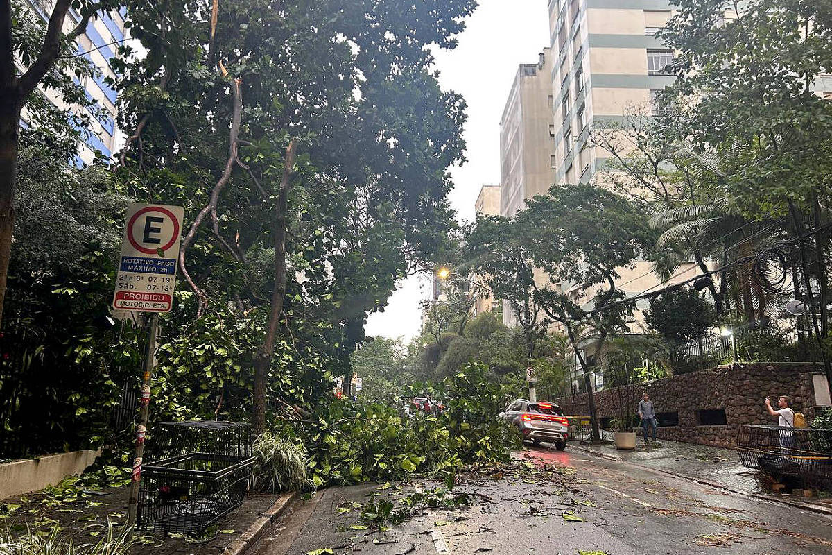 Danos apontam ventos de 101 km/h em SP, diz Defesa Civil – 13/03/2025 – Cotidiano