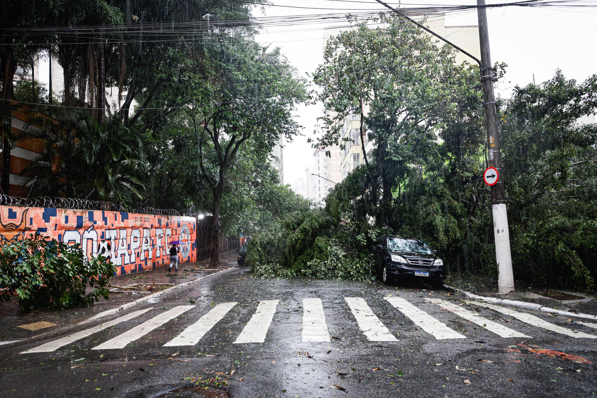 Previsão do tempo: SP continua com alerta de chuva – 13/03/2025 – Cotidiano